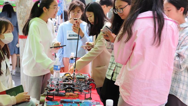 数据可视化图表类型解析：选择与优化之道