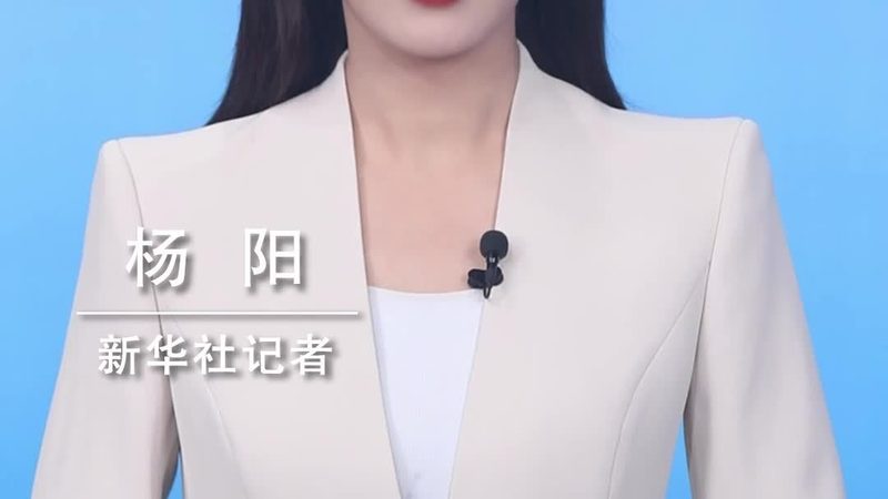 了解代理公司的服务内容，包括但不限于：
